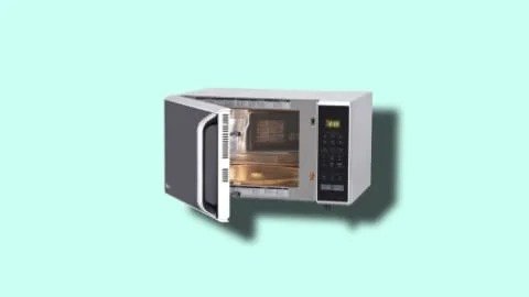 Microwave Repair Service